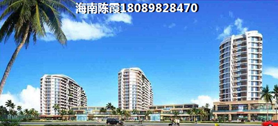 海南乐东房子纸不纸得买