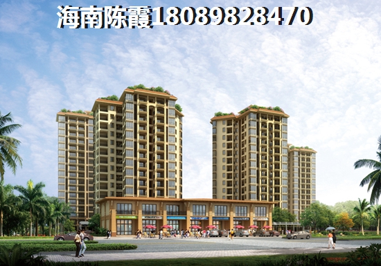 海南龙栖湾置业发展有限公司