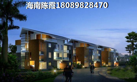 乐东纸得买的房地产有哪些