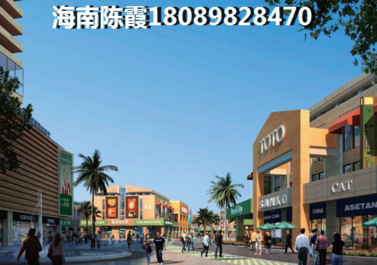 候鸟来海南买房如何选择，乐东房子怎么样