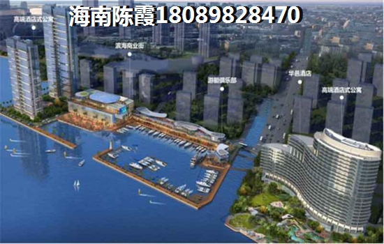 候鸟来海南买房如何选择，乐东房子怎么样