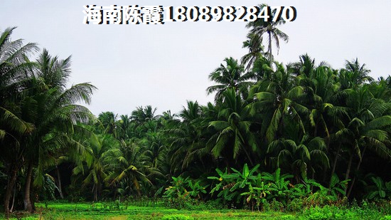 龙栖湾波波利海岸买房能公积金贷款吗?,海南乐东气候适合“候鸟”老人养老吗? 龙栖湾波波利海岸买房能公积金贷款吗?,海南乐东气候适合“候鸟”老人养老吗?